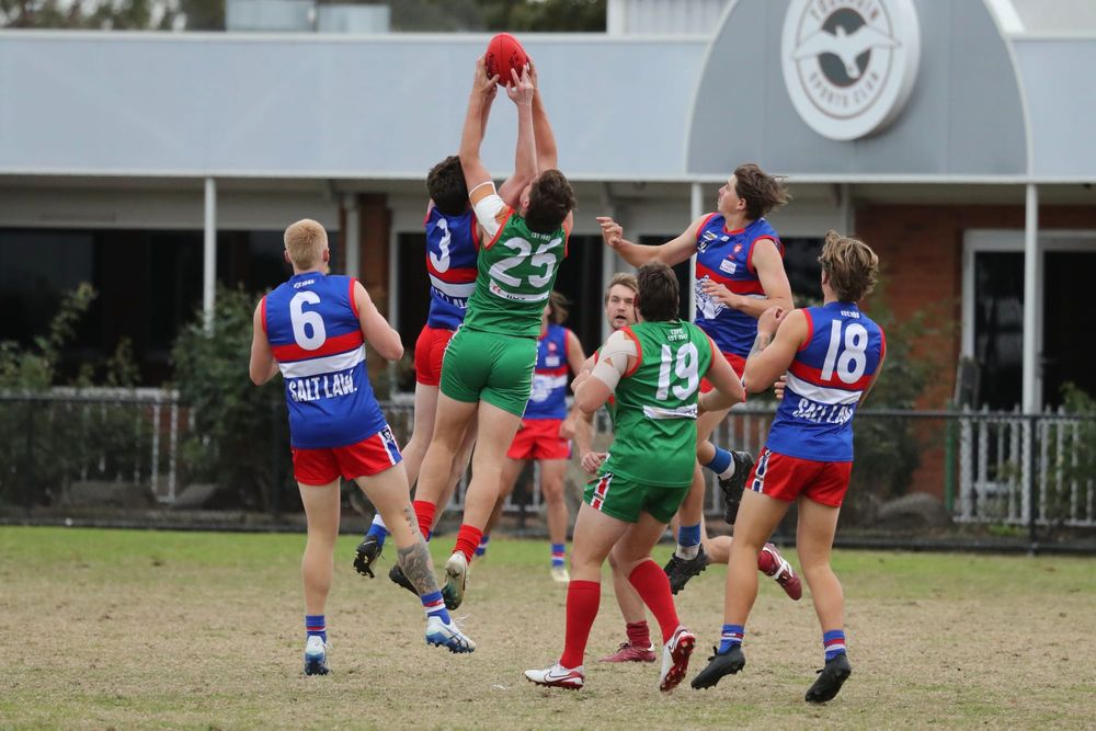 Hard slog for the Bulldogs post image