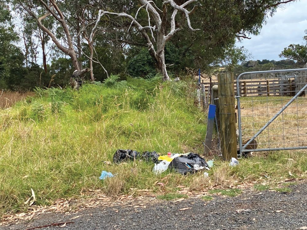 Illegal dumping continues post image