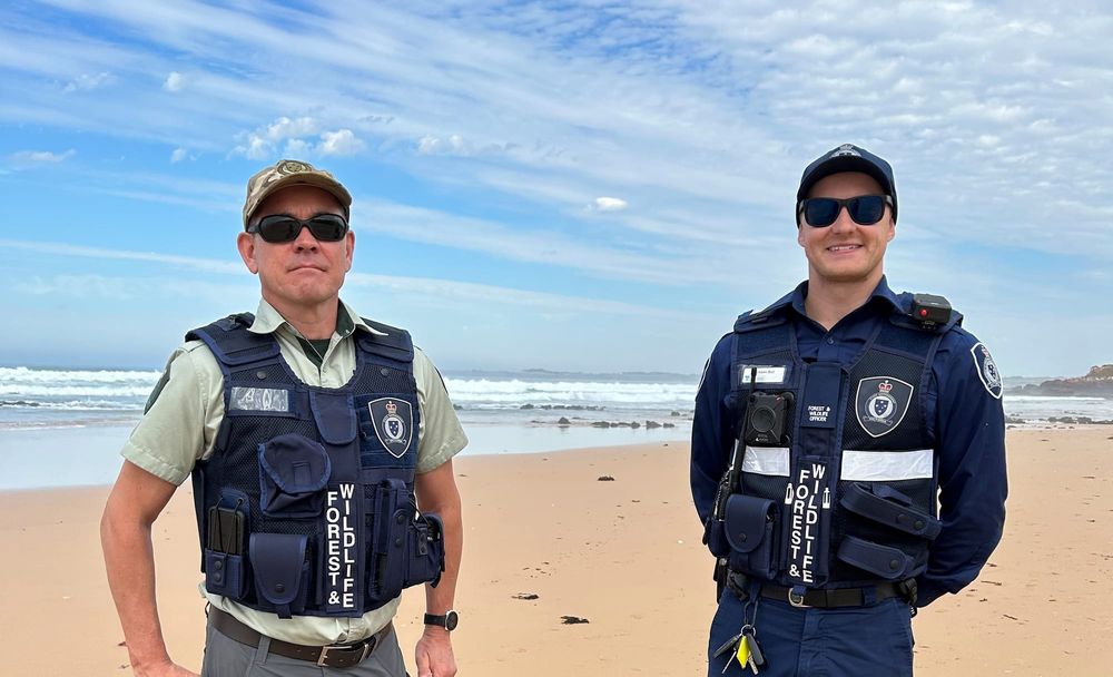 Opinion divided over dogs on beaches post image