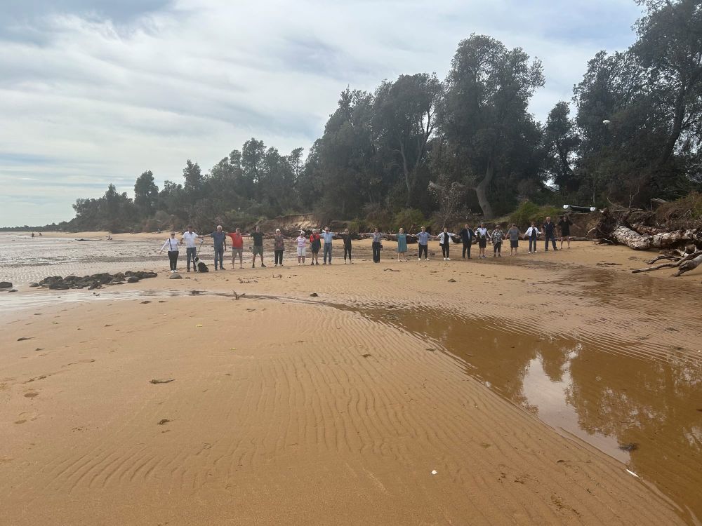 Tumbling tree warning to summer tourists post image