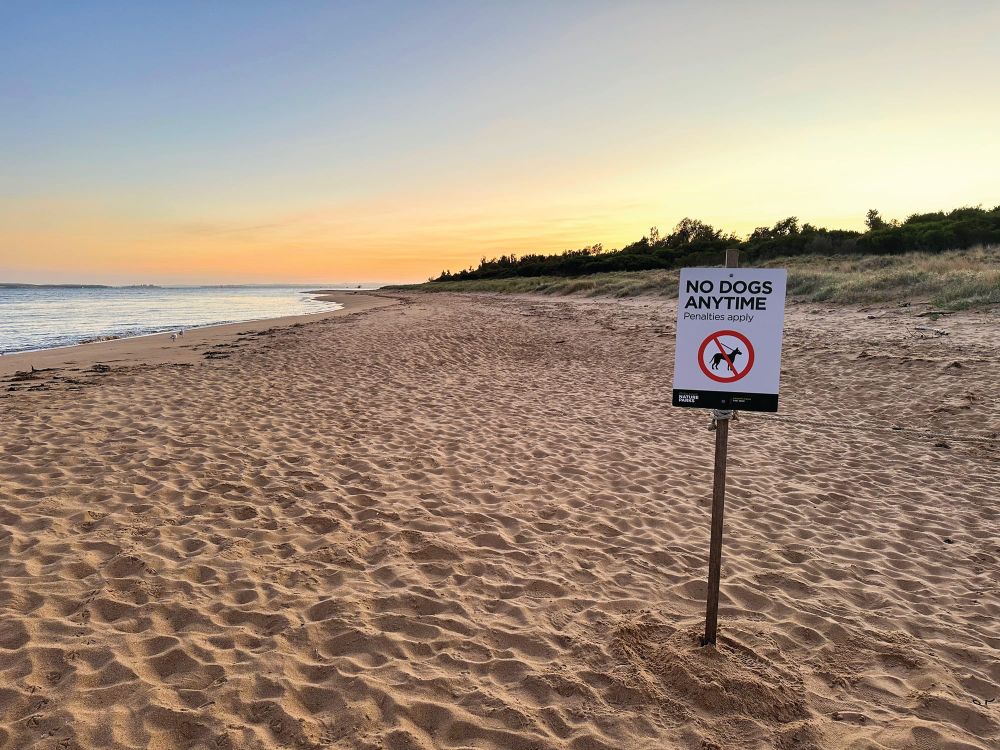 "Western Port is a gem in Victoria's crown": researchers post image