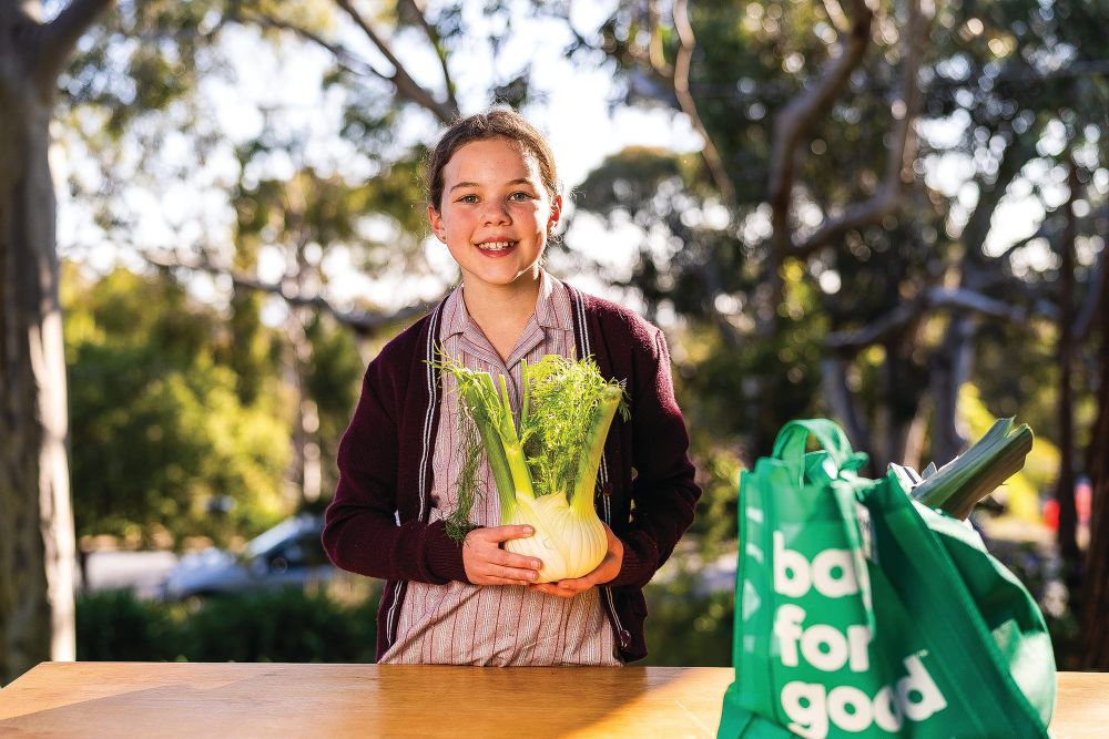Fresh food discovery for kids post image