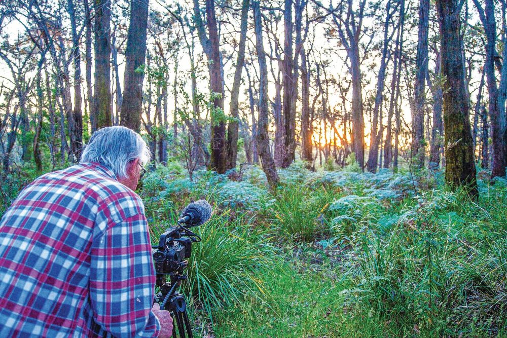 Phillip Islanders go to Hollywood post image