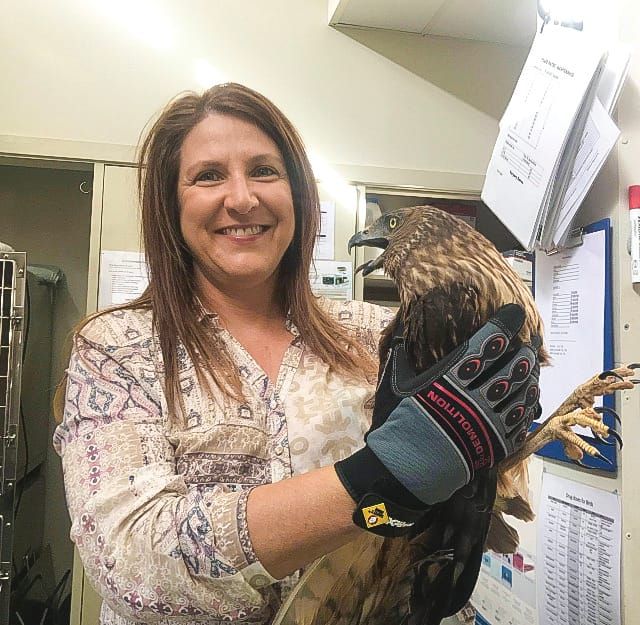 Wildlife rescue’s financial and emotional cost post image