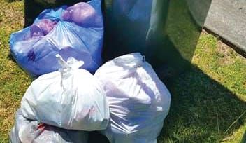What a waste: rubbish fees skyrocket post image