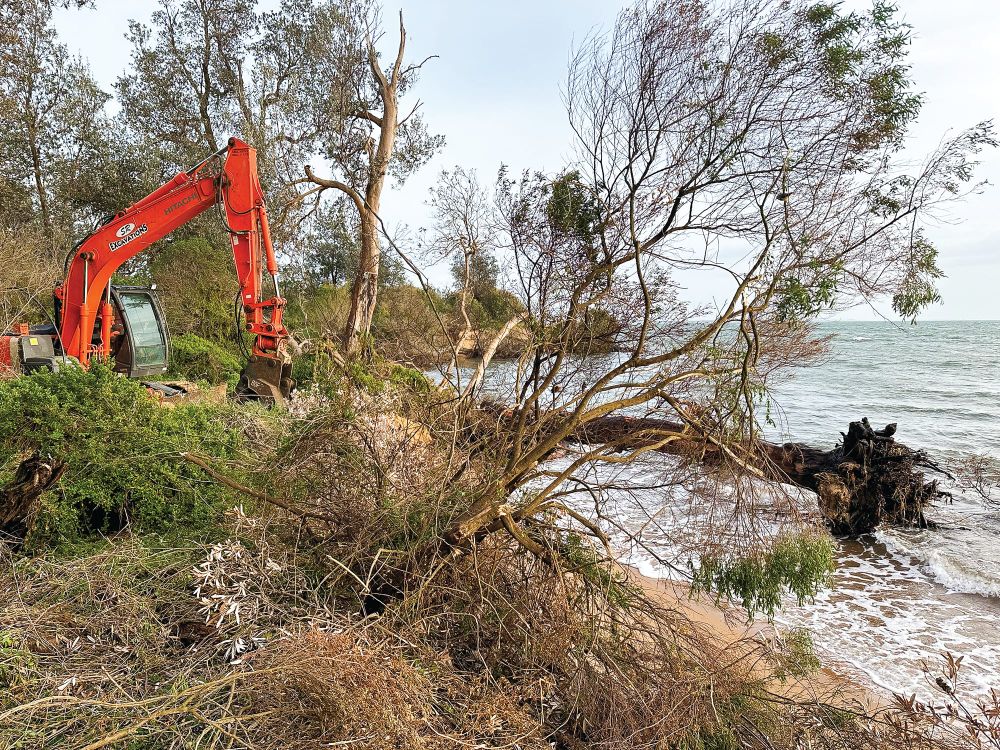Silverleaves residents expect "inundation and destruction": survey post image