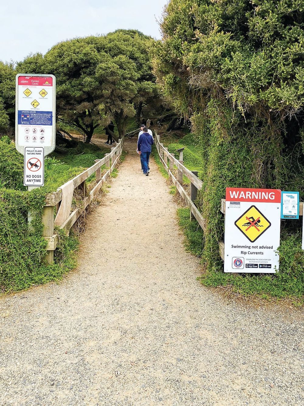 Forrest Caves stairs upgrade post image