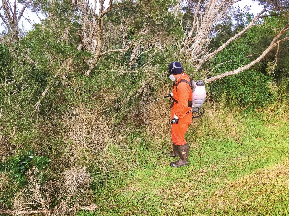 Rhyll Coast Action takes action post image