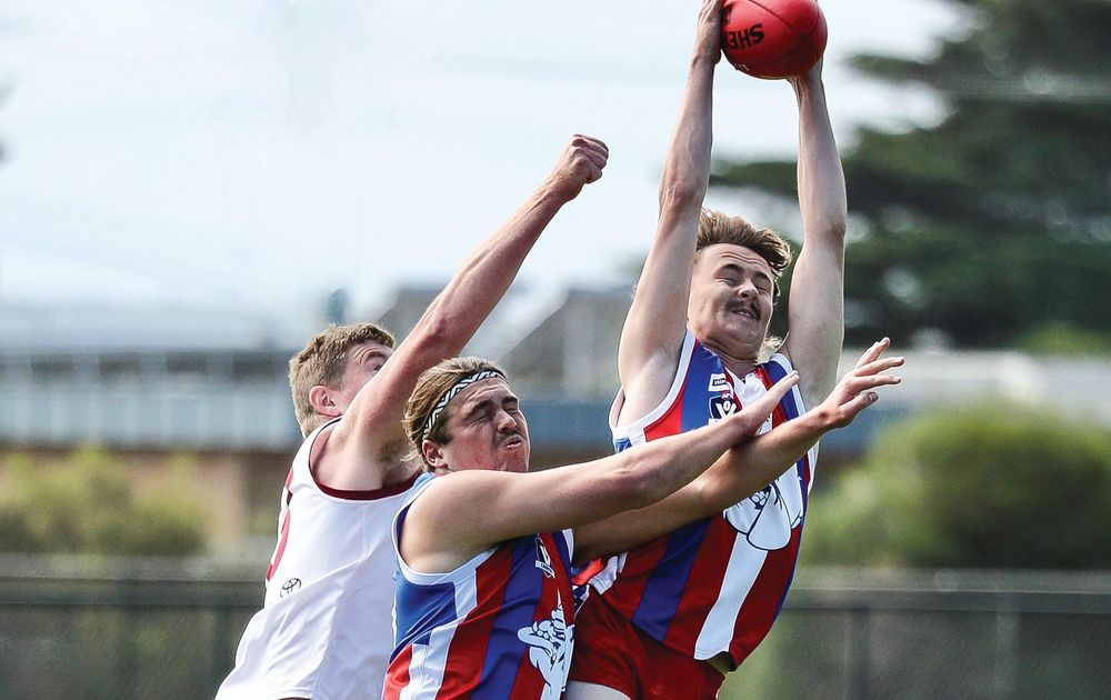 Bulldogs overcome plucky Dusties - Reserves post image