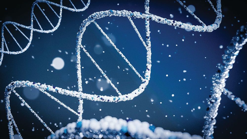 To DNA or not to DNA? post image
