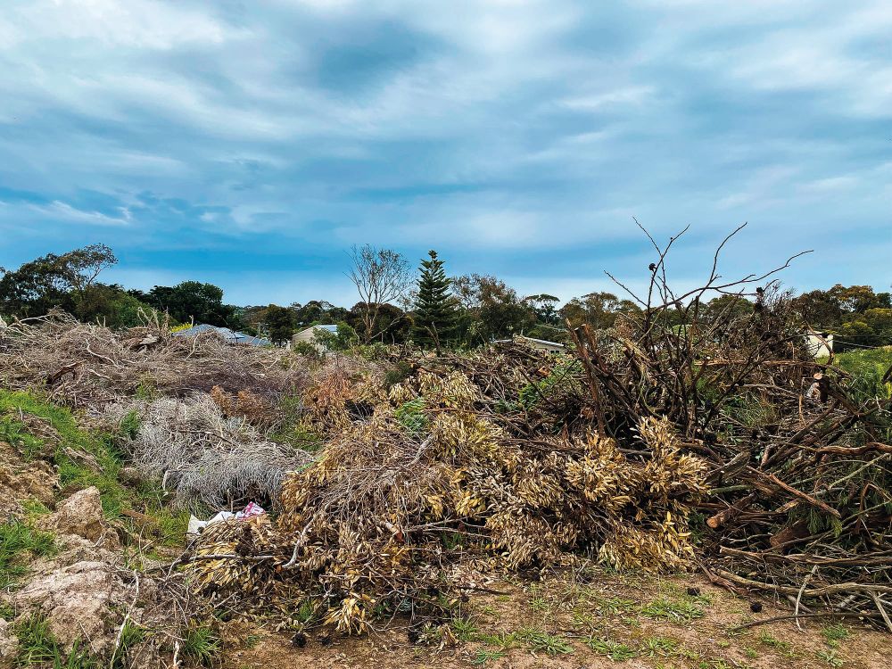 How many fines did the shire issue last year? post image