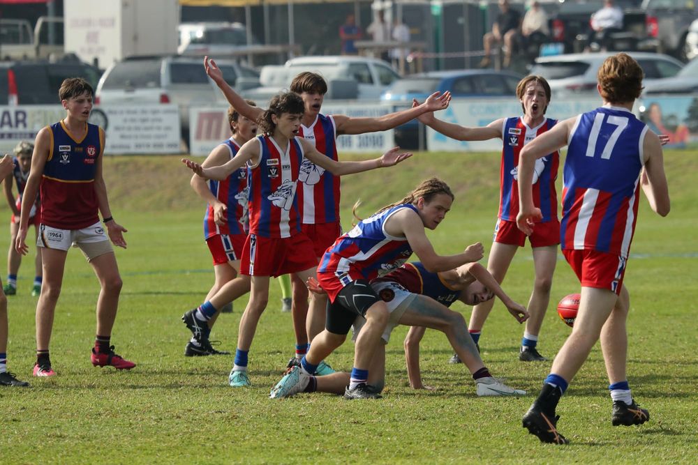 U16 Bulldogs victorious post image