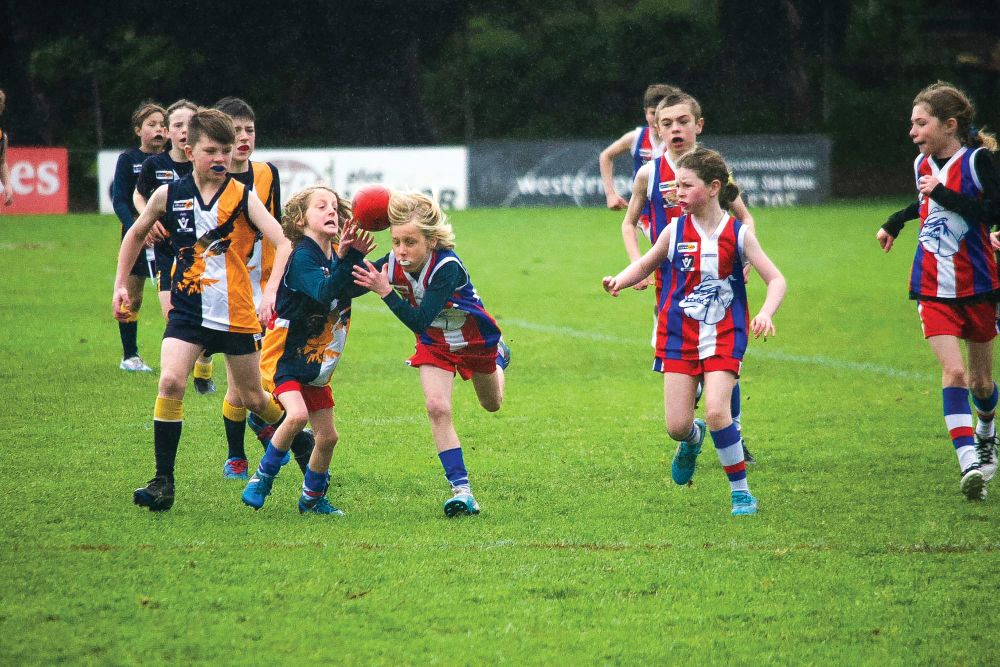 Big week on the field for junior Dogs - U10 Blue post image