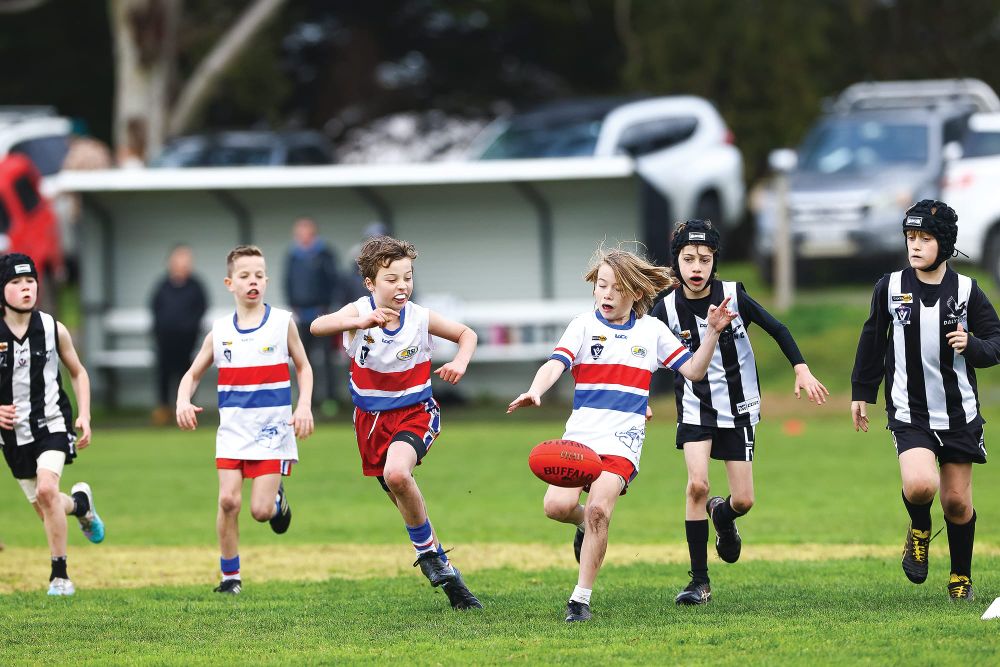Big week on the field for junior Dogs - U10 Red post image