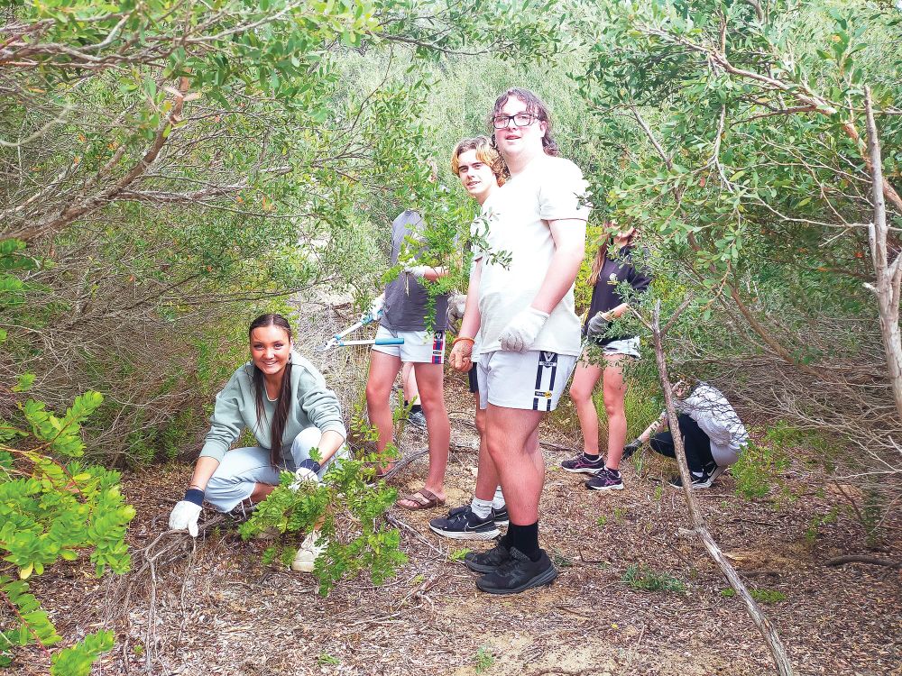 Visiting students join with Coast Care post image