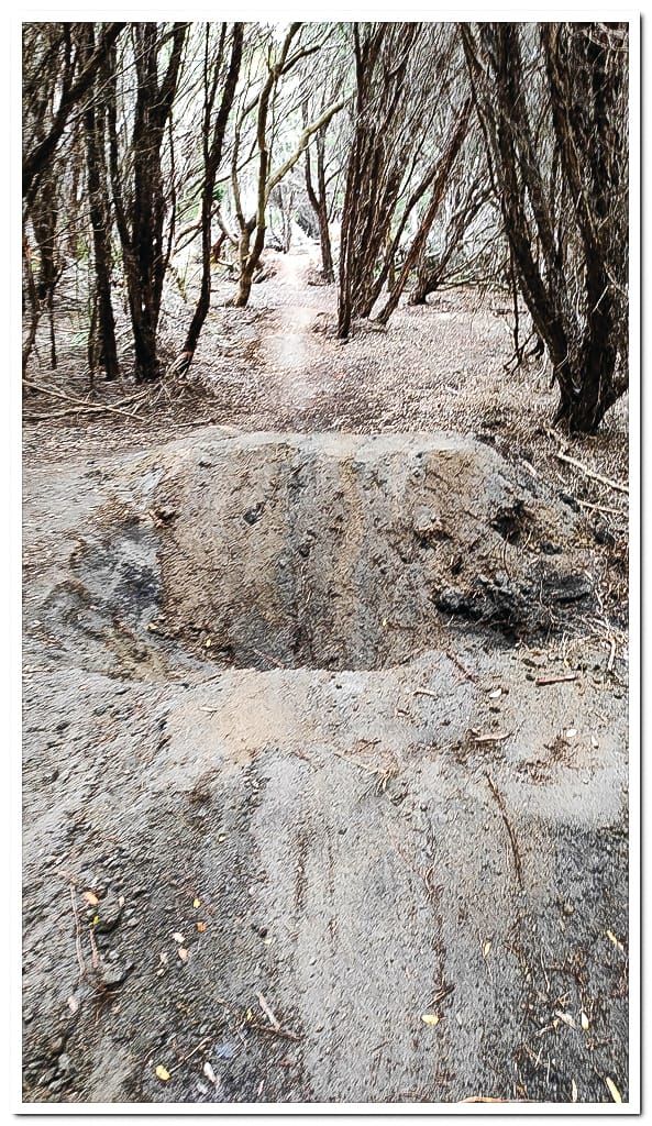 Foreshore vandalised says Coast Action post image