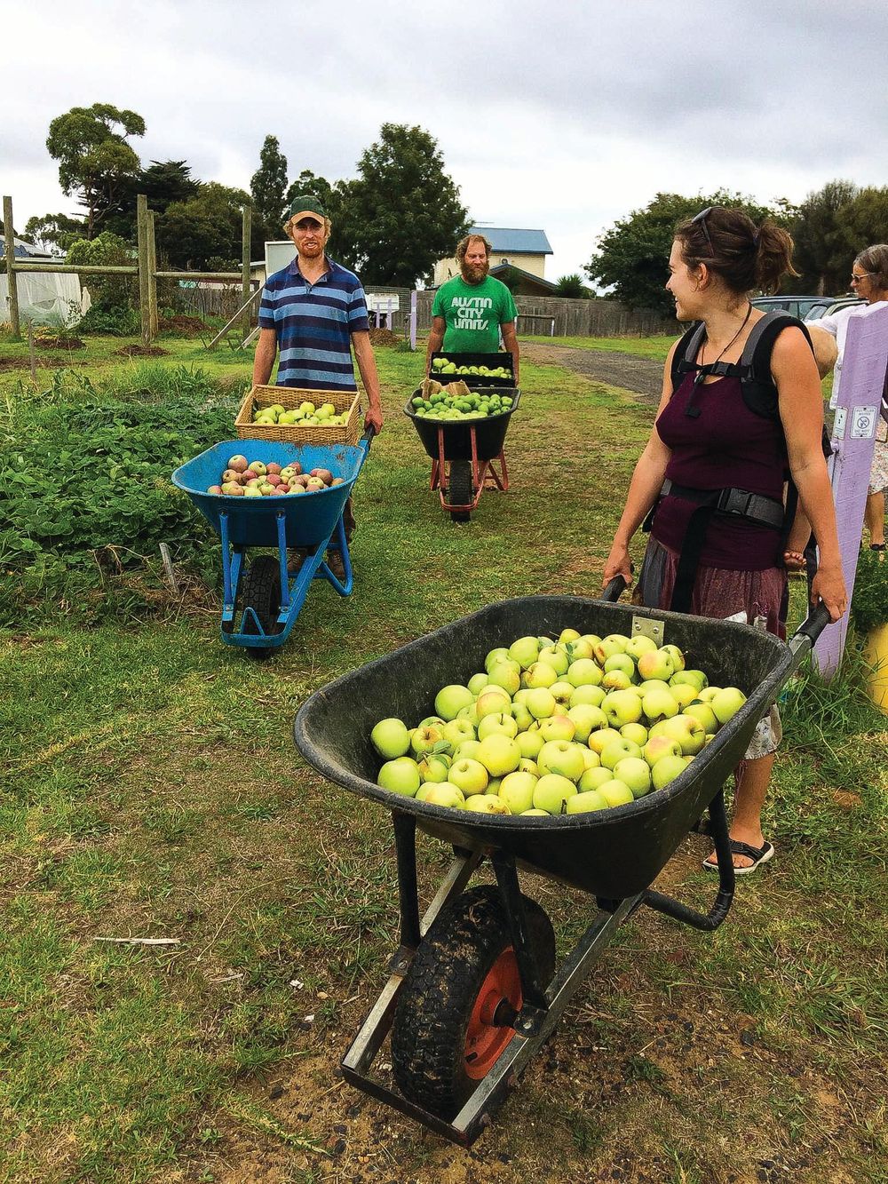 What’s happening at the Phillip Island Community Orchard post image