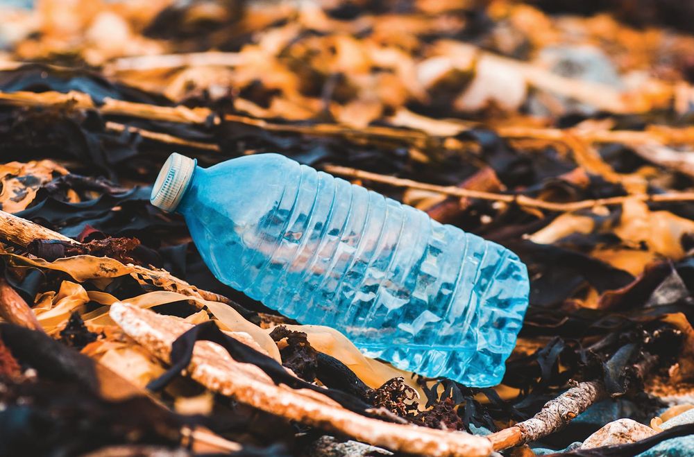 Let’s beat plastic pollution post image