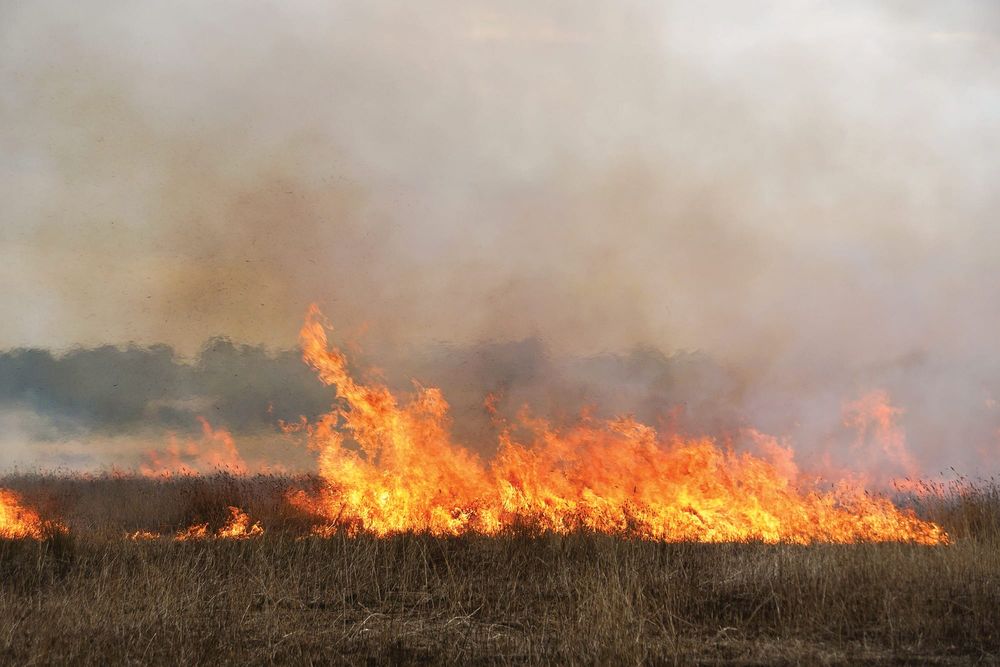 Reduce risk this autumn, register your burn-off online post image