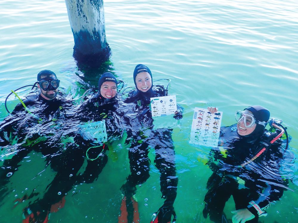 Summer sea activities post image