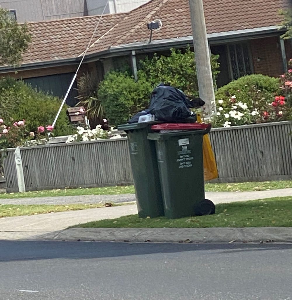 Holiday renters to pay for more bin collections? post image