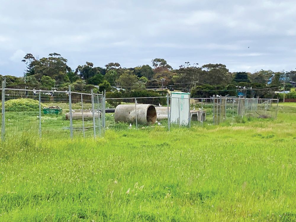 Editorial: Groundhog Day for Shoalhaven Estate post image