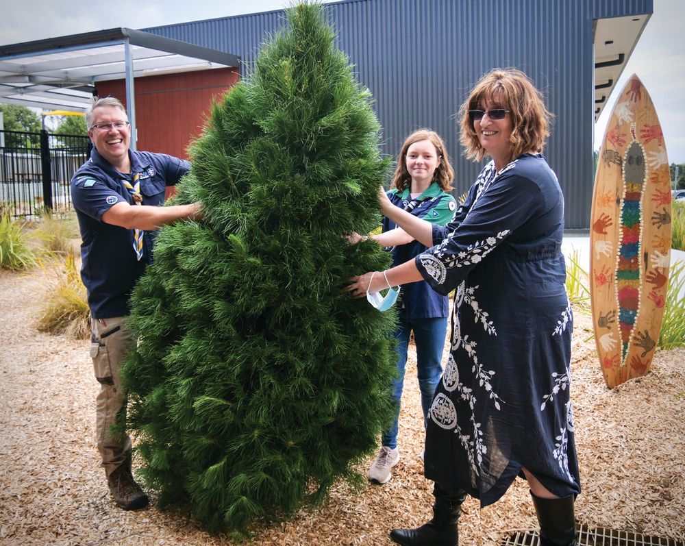 Scouts share the Christmas cheer post image