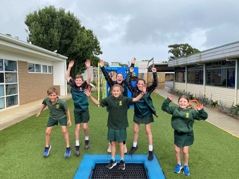 Top NAPLAN results for Cowes post image