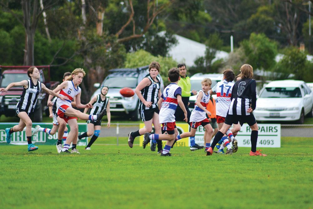 Big week on the field for junior Dogs - U12 Red post image
