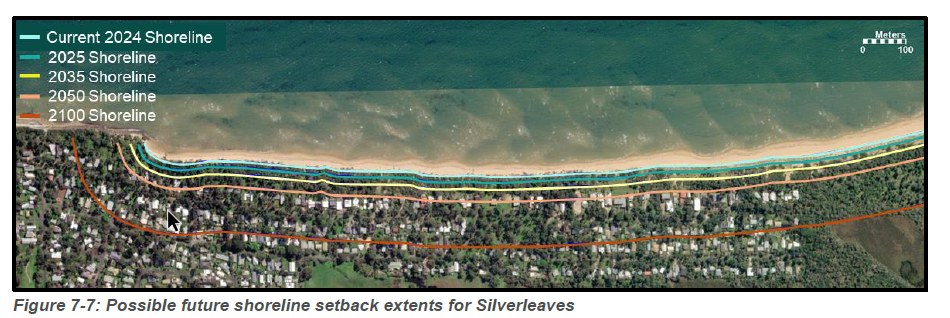 Silverleaves thrown an erosion lifeline post image