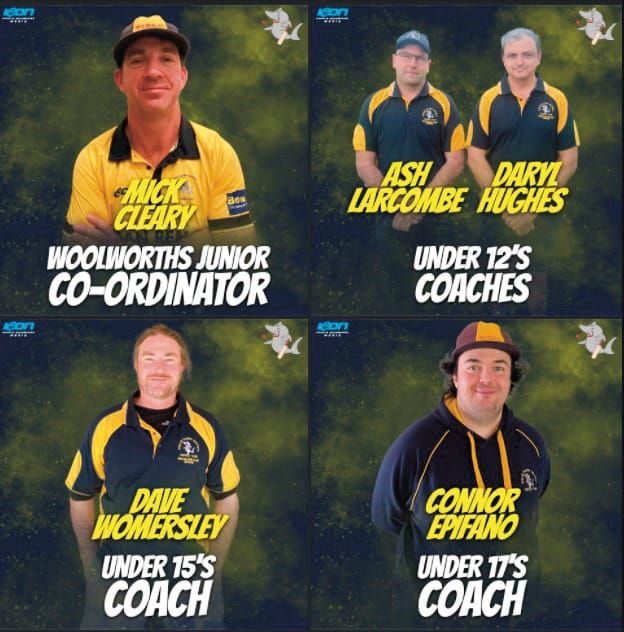 Island’s cricket coaching team revealed post image
