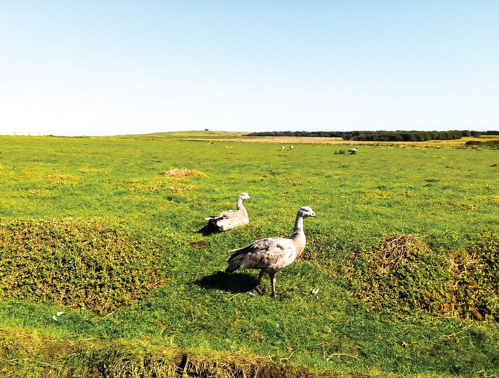 What does managing wildlife mean? post image