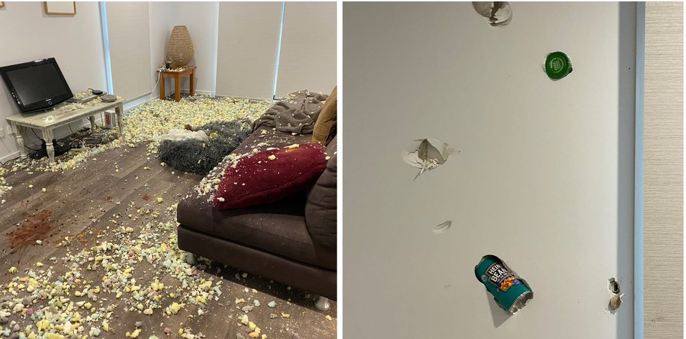 Horrific Cape Woolamai break-in leaves owners "frightened" post image