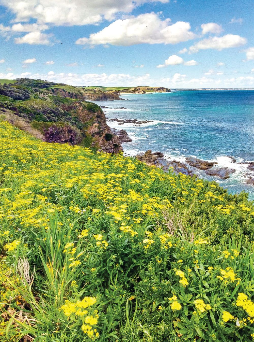 Homes, towns, coastal charm to be protected post image