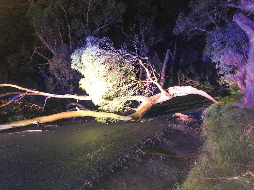Storms wreak havoc post image