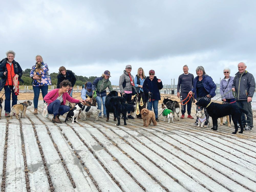 Christmas dog walk post image