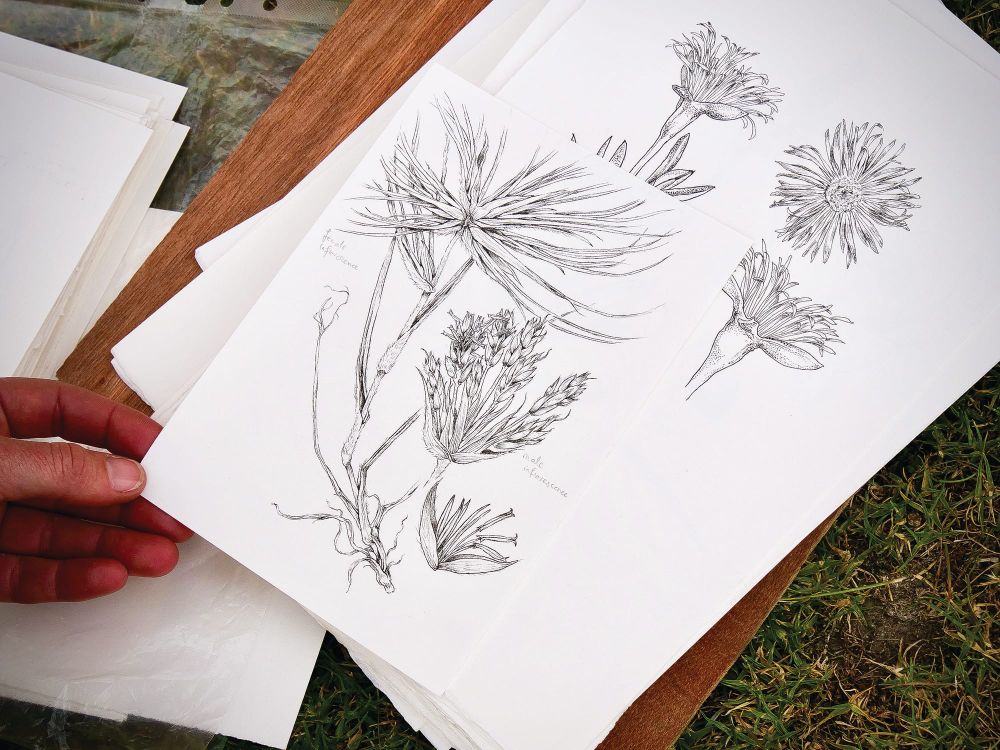 Art with heart post image