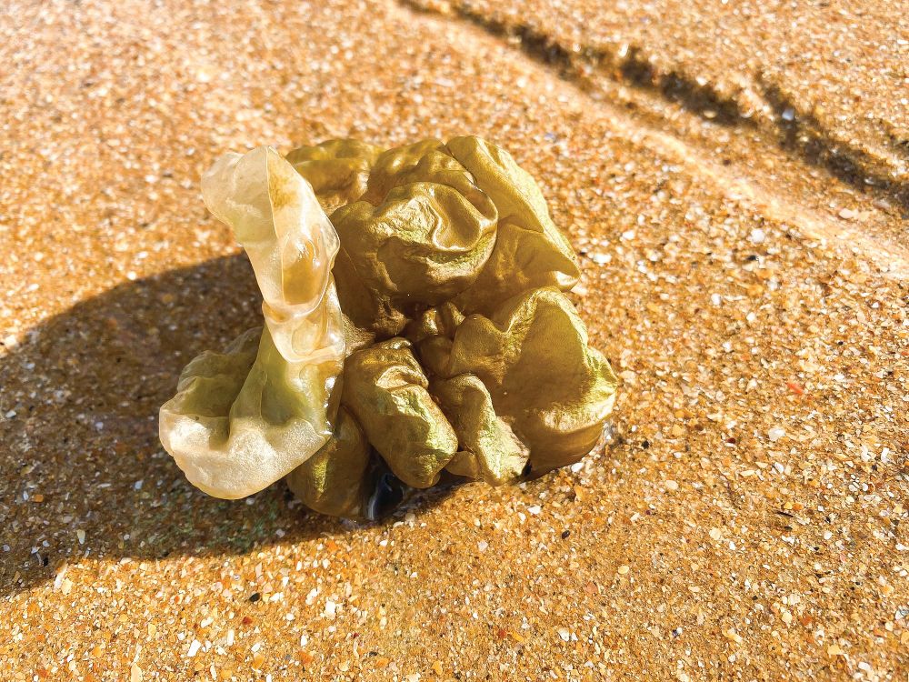 Do you know what this is? post image