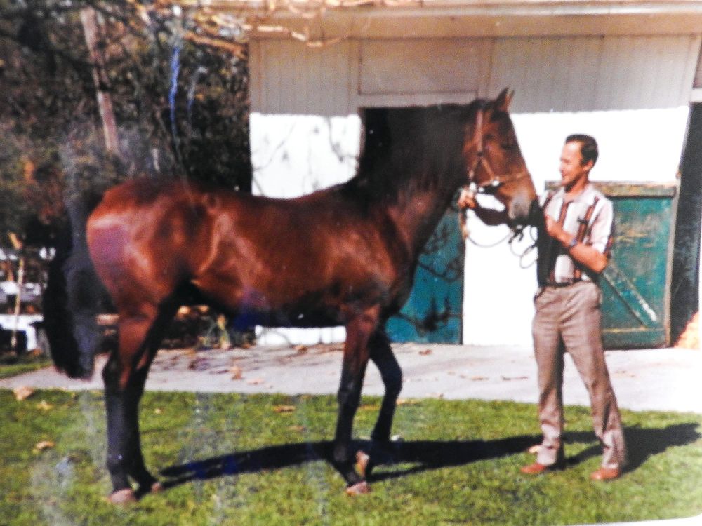 Racing honour for Cefn Price post image