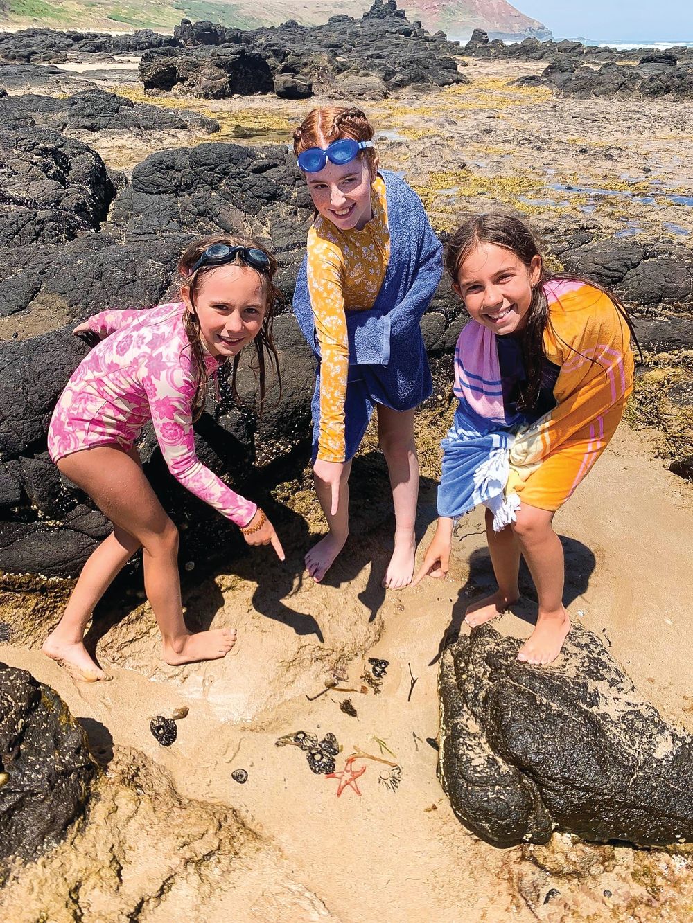 Natural lessons for Village students post image