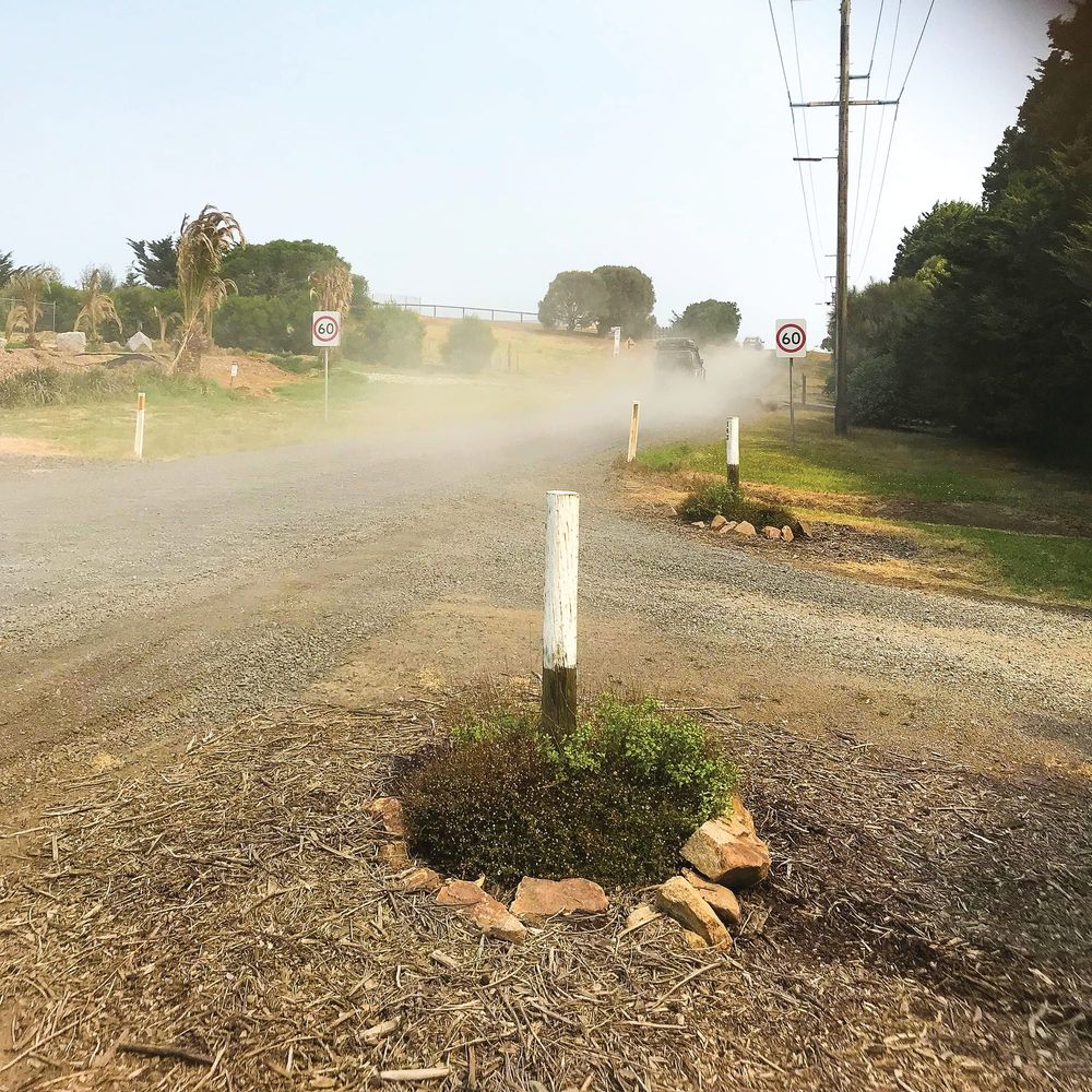 Student health at risk from road dust post image