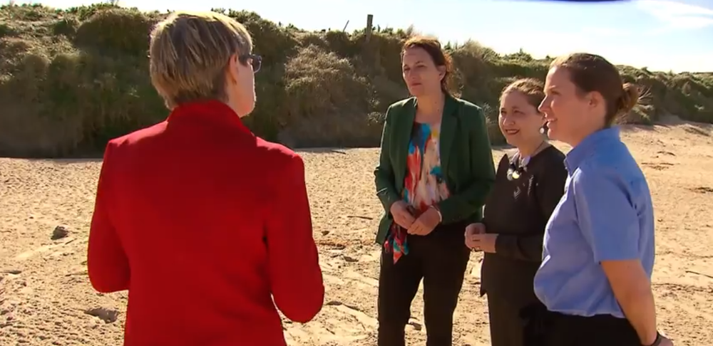 Dune restoration smooths the way for Phillip Island’s penguins post image