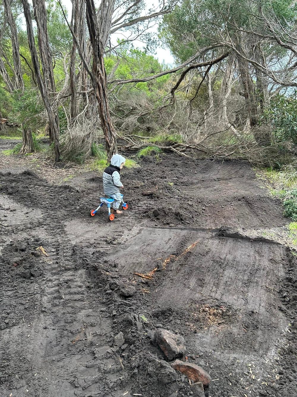 Community at odds over bike track removal post image