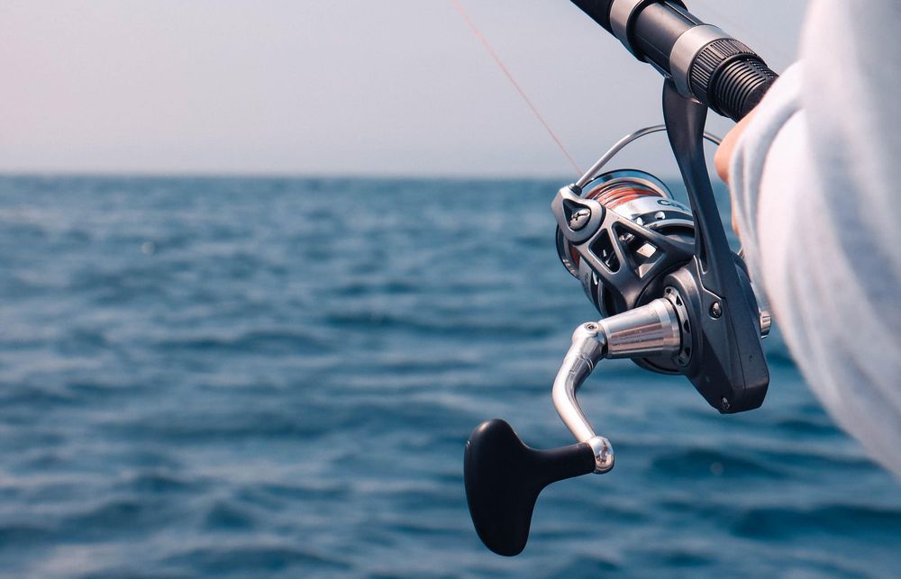 Reel it in post image