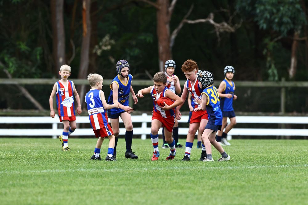 A muddy affair for junior footy post image