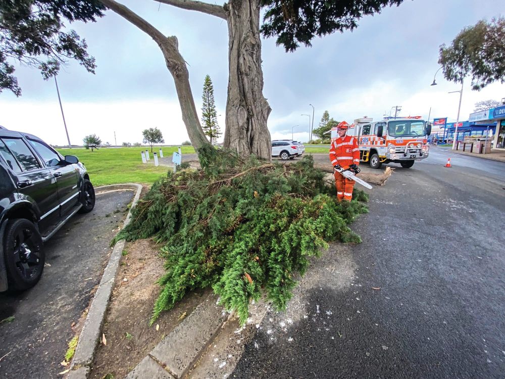 Branch down during Monday’s storms post image