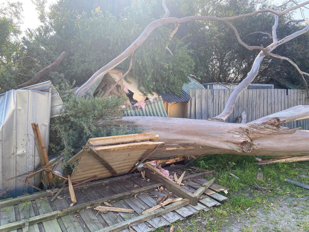 Wildlife shelter gutted in storms post image