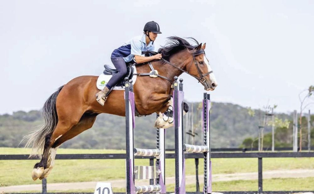 Phillip Island Pony Club post image