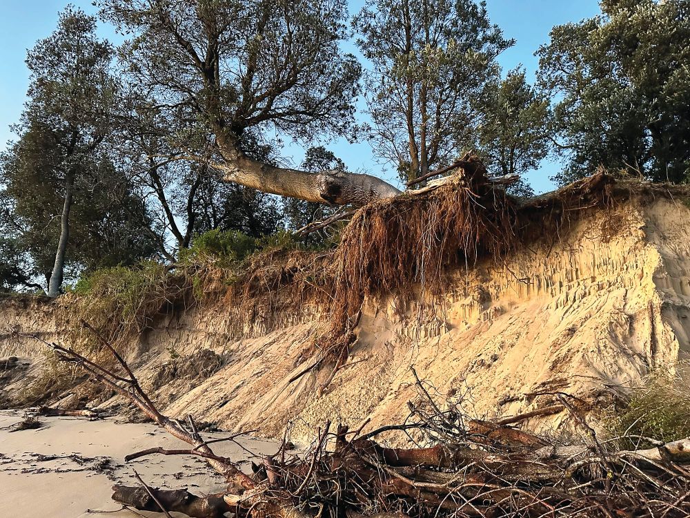 Residents eagerly await erosion answers post image