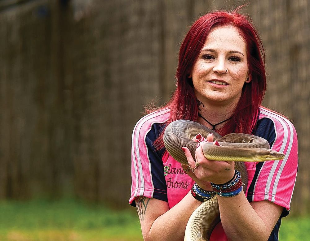 Snake season started earlier this year post image